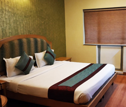 Hotel Sudesh Tower - Junior Executive Room